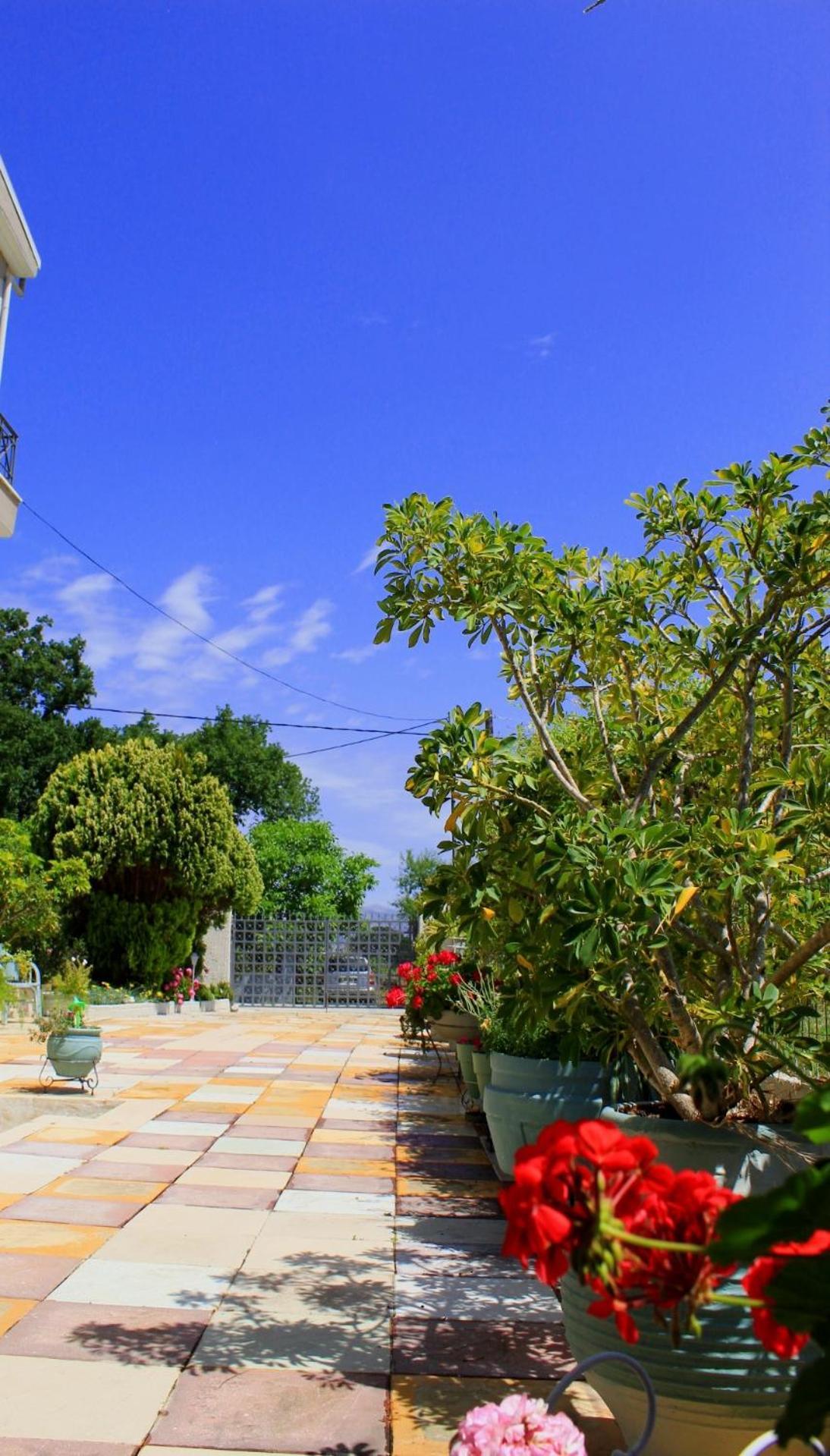 Olyna'S Apartment N.S Preveza Nea Sampsounta 外观 照片